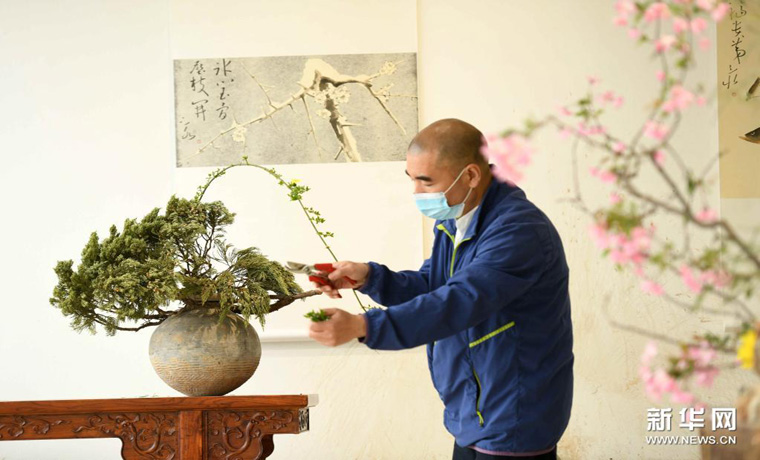河北石家莊：燕趙插花藝術
