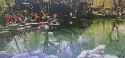 大贊！菏澤小伙濟南趵突泉公園勇救落水老人！
