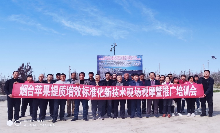 把蘋果生產新技術送到農民手上 煙臺蘋果提質增效標準化新技術現場觀摩暨推廣培訓會在棲霞舉辦