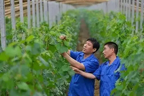 山西省11個“青年人才驛站”吸引3.6萬名晉籍在外學子返晉創業就業