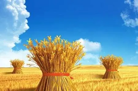 農業農村部等七部門部署2023年全國農資打假專項治理行動