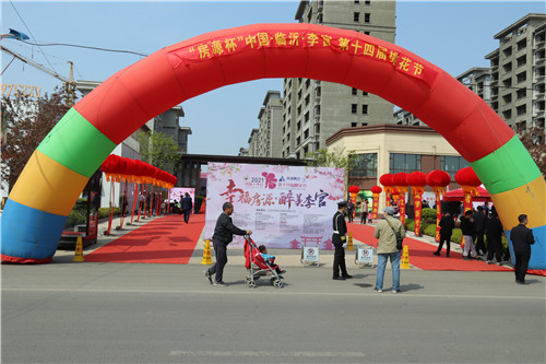 臨沂后花園帶來別樣春天：中國李官第十四屆桃花節“云開幕”
