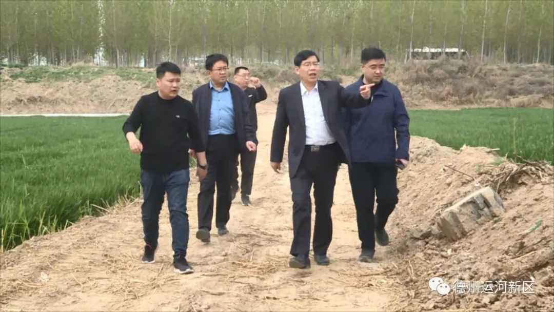 德州運河新區：抓緊抓實省級生態環境保護督察交辦問題整改 扛起生態環境保護重大政治責任