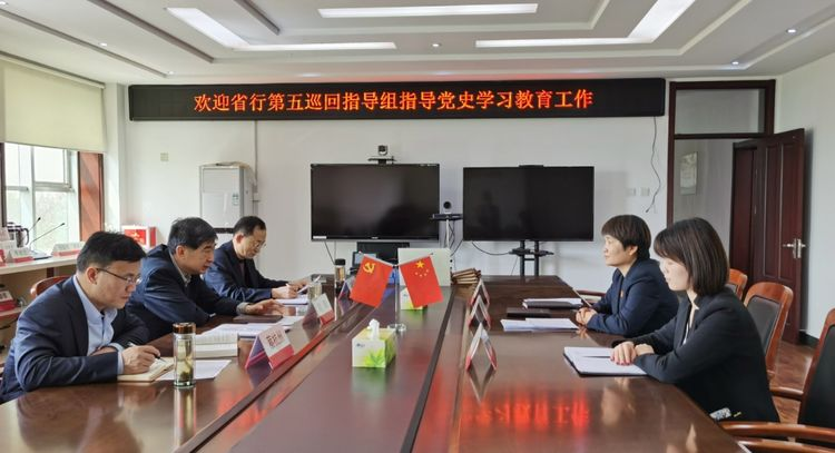 巡回指導 推動農發行禹城市支行黨史學習教育走深走實