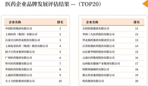 宛西制藥馬云為仲景“三分鐘講透經典”發聲做《品牌引領，經典驅動》演講