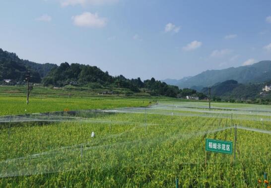 河南擬出臺新規：推進開發區產業綠色轉型