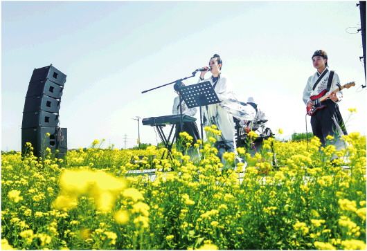 平陵田園賞花季啟動 賞油菜花海 品“龍山味道”