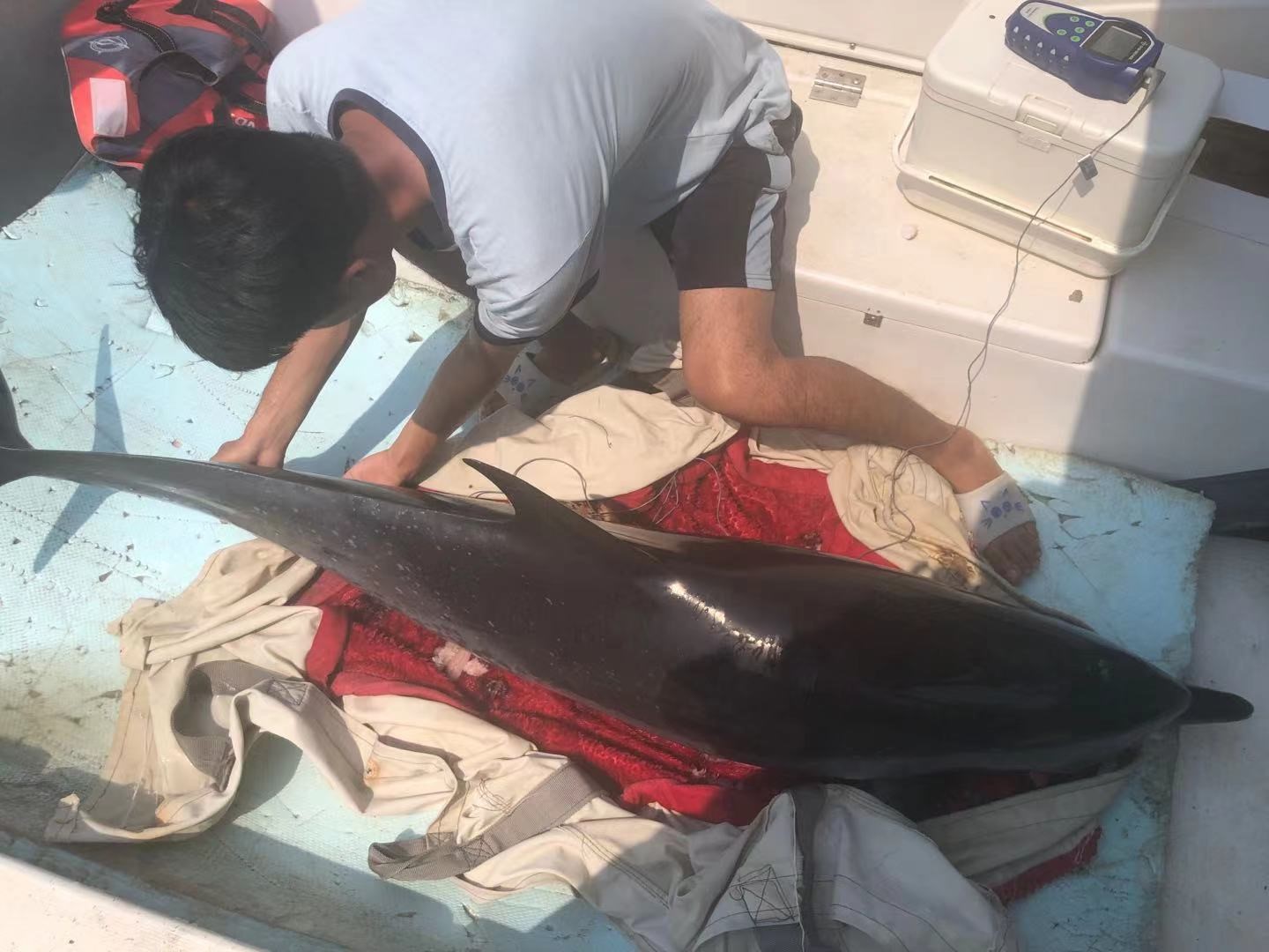 20210425091751929.jpg 20210425091751929.jpg