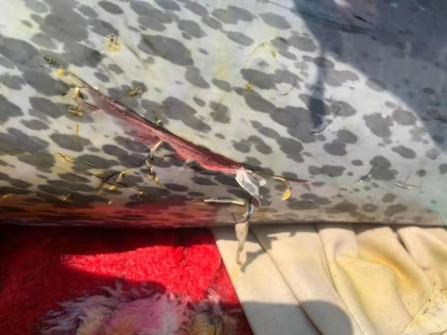 20210425091849929.jpg 20210425091849929.jpg