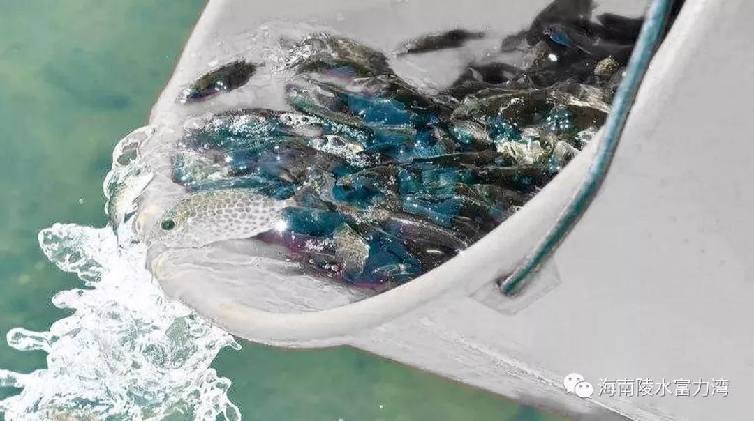 20210425092158929.jpg 20210425092158929.jpg