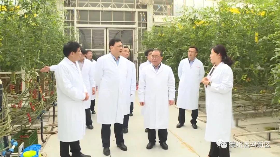王金城到德州運河新區調研