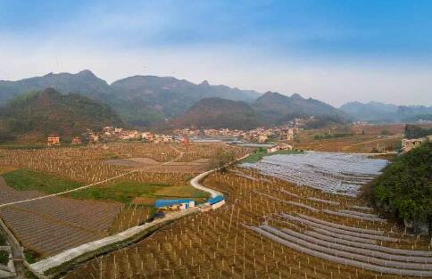 預防返貧，貴州這么干!