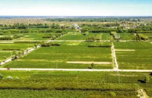 “十四五”時期我國將加快構建現代農村產權制度