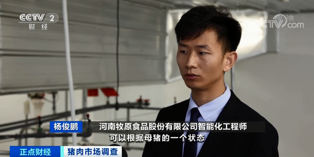 跌破15元！豬肉價格坐“滑梯”，創19個月新低！未來價格怎么走？