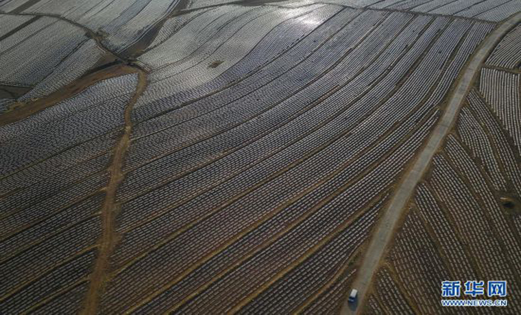 河北圍場：“馬鈴薯之鄉”農田景美如畫