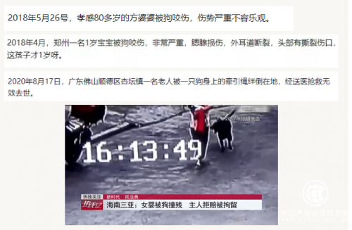 小視科技首發，遛狗不牽繩算法|5月1日起該行為違法