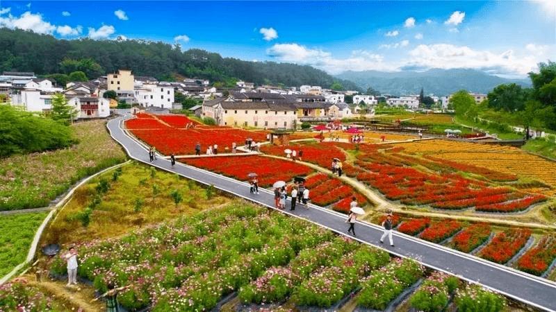 文化和旅游部：鄉村旅游重點村鎮達9500余家