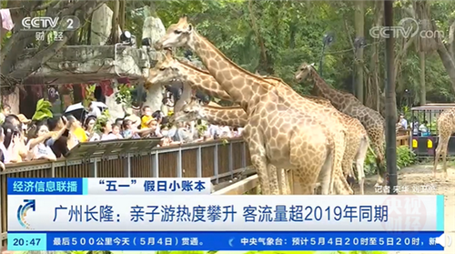 親子游訂單大漲超30%，4口之家親子游花費約2萬