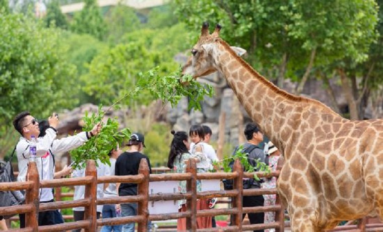 假日經濟釋放文旅消費潛力，山東“成績單”來啦