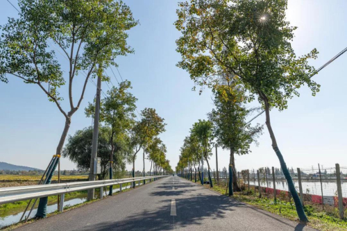 “五一”假期 南京市文旅市場獲強勁復蘇 