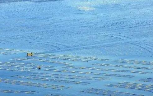 福建省4個海洋生態保護修復項目獲中央財政補助