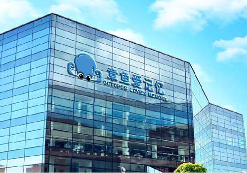 章魚愛記憶—如何運用科學有效的方法幫助孩子強化記憶提升學習成績？