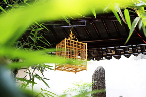 向建黨一百周年華誕獻禮   “百籠鳴春——江南文化·吳門藝秀 ”蘇作鳥籠藝術展在怡園精彩亮相