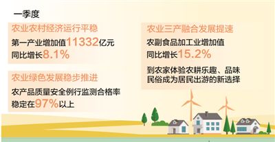 一季度第一產業增加值同比增8.1% 農業高質量發展態勢良好