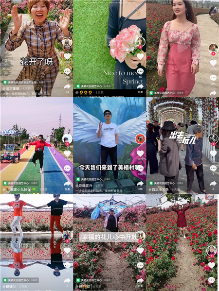 五一小長假，萬人同樂美棲花田，玫瑰與夏風在等你