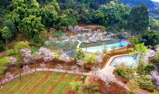 夜游、酒店宅……旅游新場景激發消費潛力