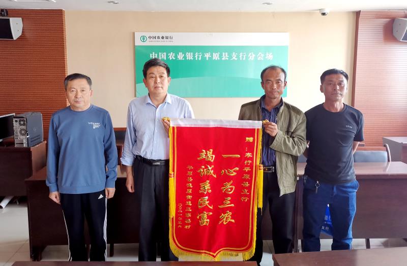 農行平原縣支行實事實辦扶持“西葫蘆”生產