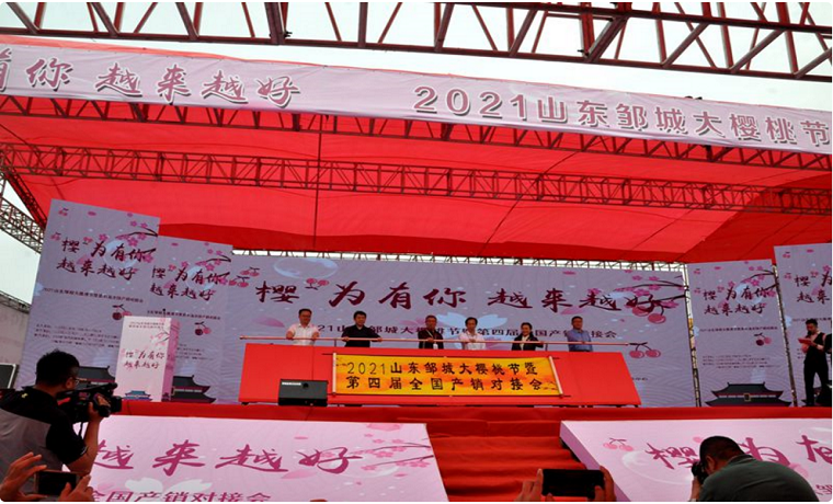 賞鄒東美景，嘗美味櫻桃---2021鄒城大櫻桃節開幕