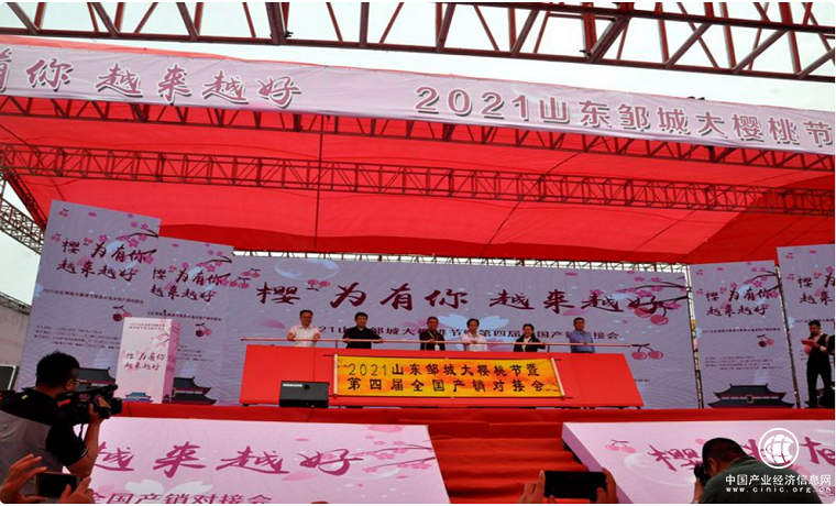 賞鄒東美景，嘗美味櫻桃---2021鄒城大櫻桃節開幕