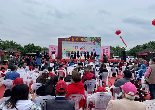山水臨澗 “櫻”你而來｜2021平邑·臨澗第七屆大櫻桃采摘旅游節開幕