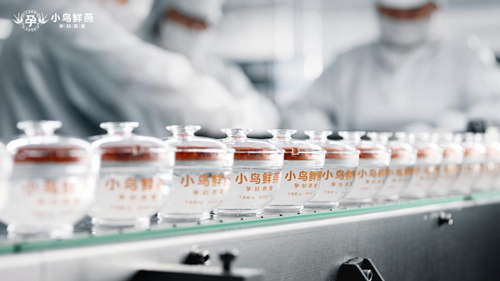 掘金萬億孕嬰市場，孕婦燕窩引關注，小鳥鮮燕C位出圈受創業者青睞