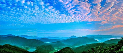 仲景之光普照醫圣故里——仲景宛西制藥守正創新高質量發展紀實