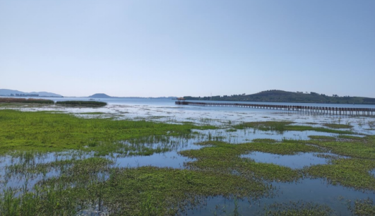 蘭陵縣：“魅力會寶湖、綠色好家園” 攝影展活動正式啟動