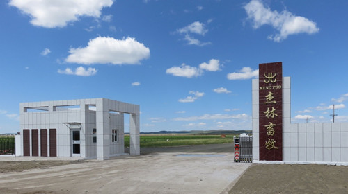 選擇蒙之寶，開啟你的第一個藍海事業