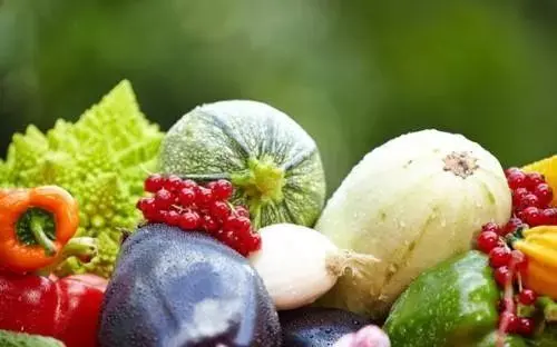 上海“從田頭到餐桌”全產業鏈發展品牌農業