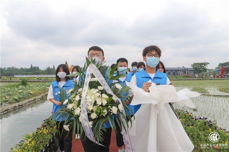 風吹過稻田，我就想起您！師生深切悼念袁隆平院士！