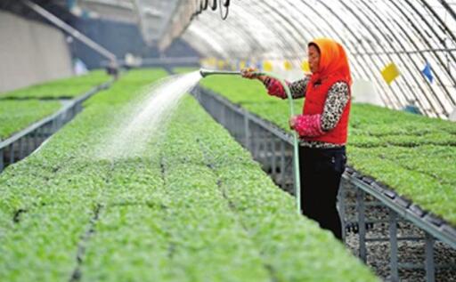 六部門聯合發布《關于金融支持新型農業經營主體發展的意見》