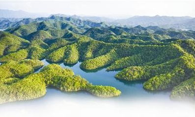 全國林業改革發展綜合試點市落戶宣城