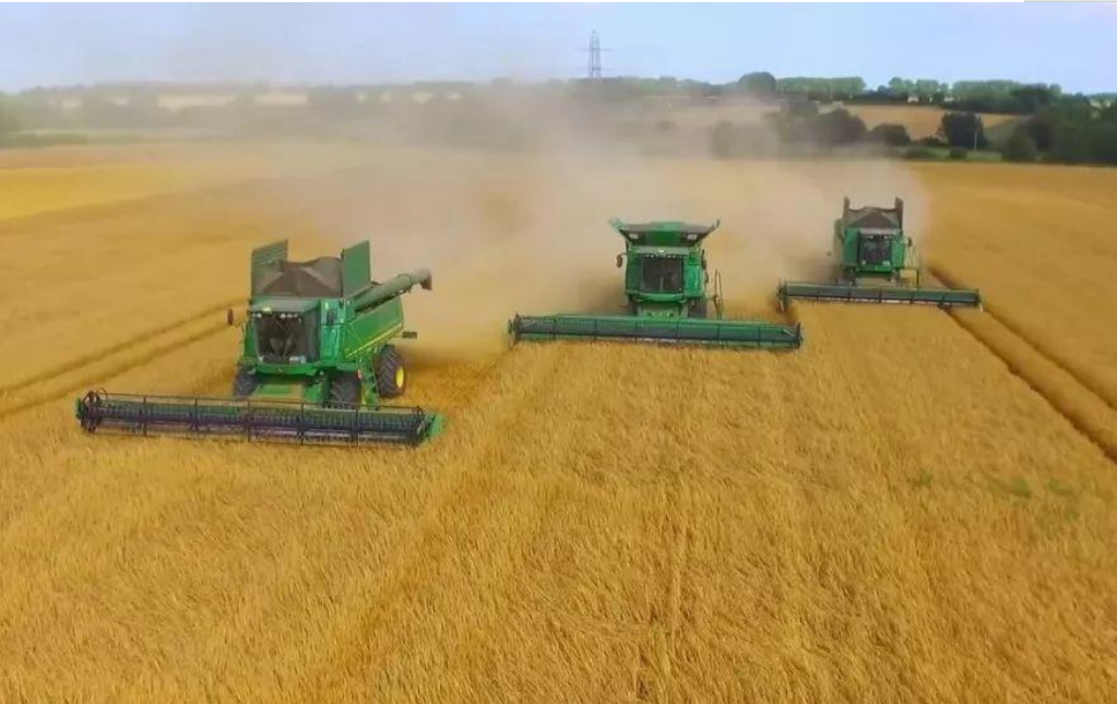 “三夏”進行時 濟寧520.7萬畝小麥開鐮收割