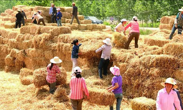 濟寧市召開重點工作專題會議 于永生安排部署環保秸稈禁燒防汛等工作