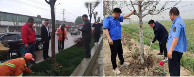 蘭陵縣磨山鎮：環境整治正當時，共建美麗大家園