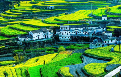 安徽旅游發布“紅黑榜”