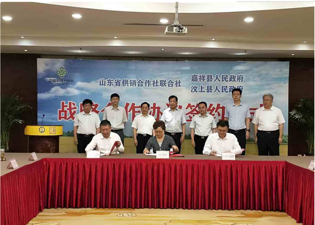 土地股份合作+全程托管服務，省供銷社與濟寧倆縣簽約