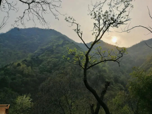 藏不住了！老山腳下兩疊真墅即將火熱入市！