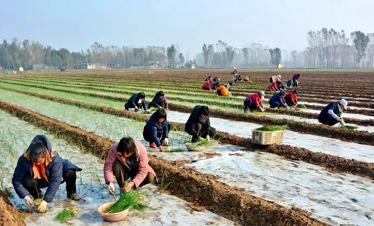 山東工行將向鄉村振興領域提供融資3000億元