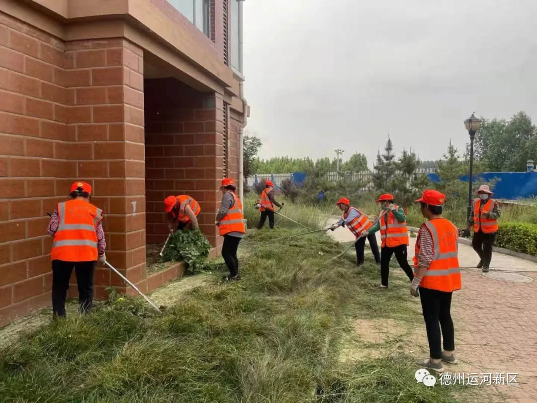 德州運河新區服務管理辦公室：網格化管理提升社區治理“精準度”